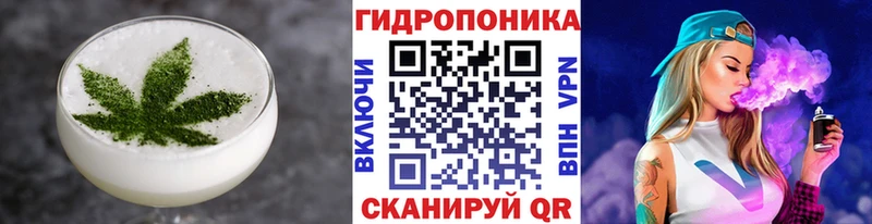 Cannafood конопля  Черняховск 