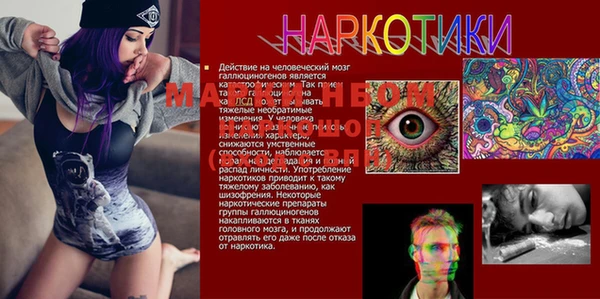 мдпв Балабаново