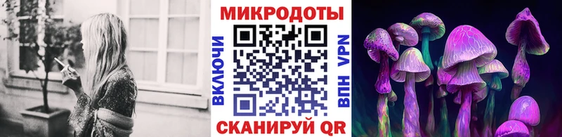 Галлюциногенные грибы Magic Shrooms  Черняховск 