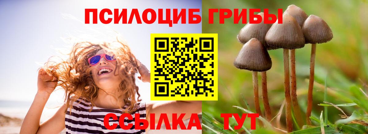 Черняховск  Галлюциногенные грибы мухоморы  Вход с VPN  Галлюциногенные грибы Cubensis 