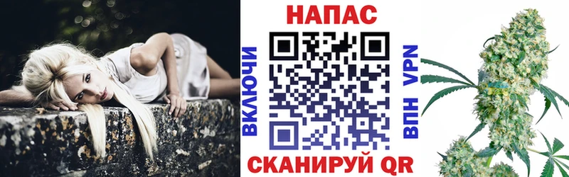 Бошки Шишки гибрид Черняховск